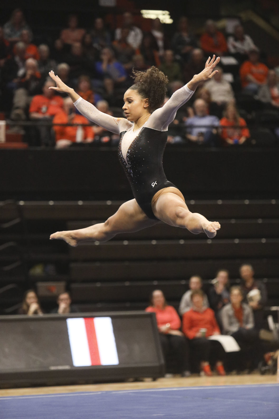 Oregon State Gymnastics